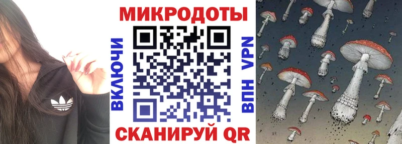 купить наркотик  Данков  площадка какой сайт  Галлюциногенные грибы мухоморы 